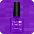 Shellac Purples